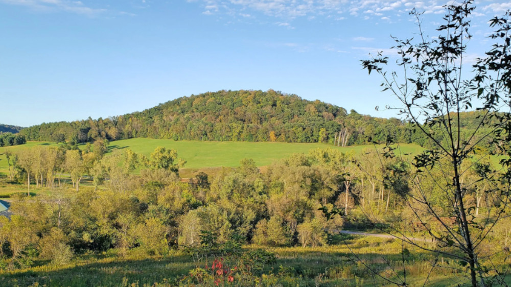 *Driftless Development Inc Driftless Area Magazine