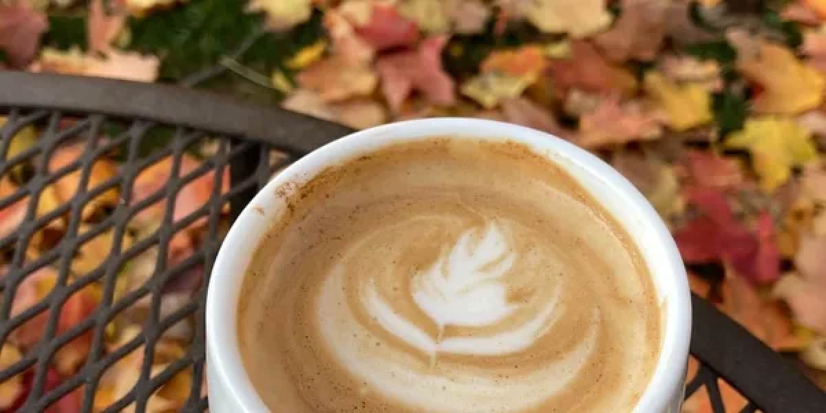 Lakeside Street Coffeehouse, Madison WI Driftless Area Magazine