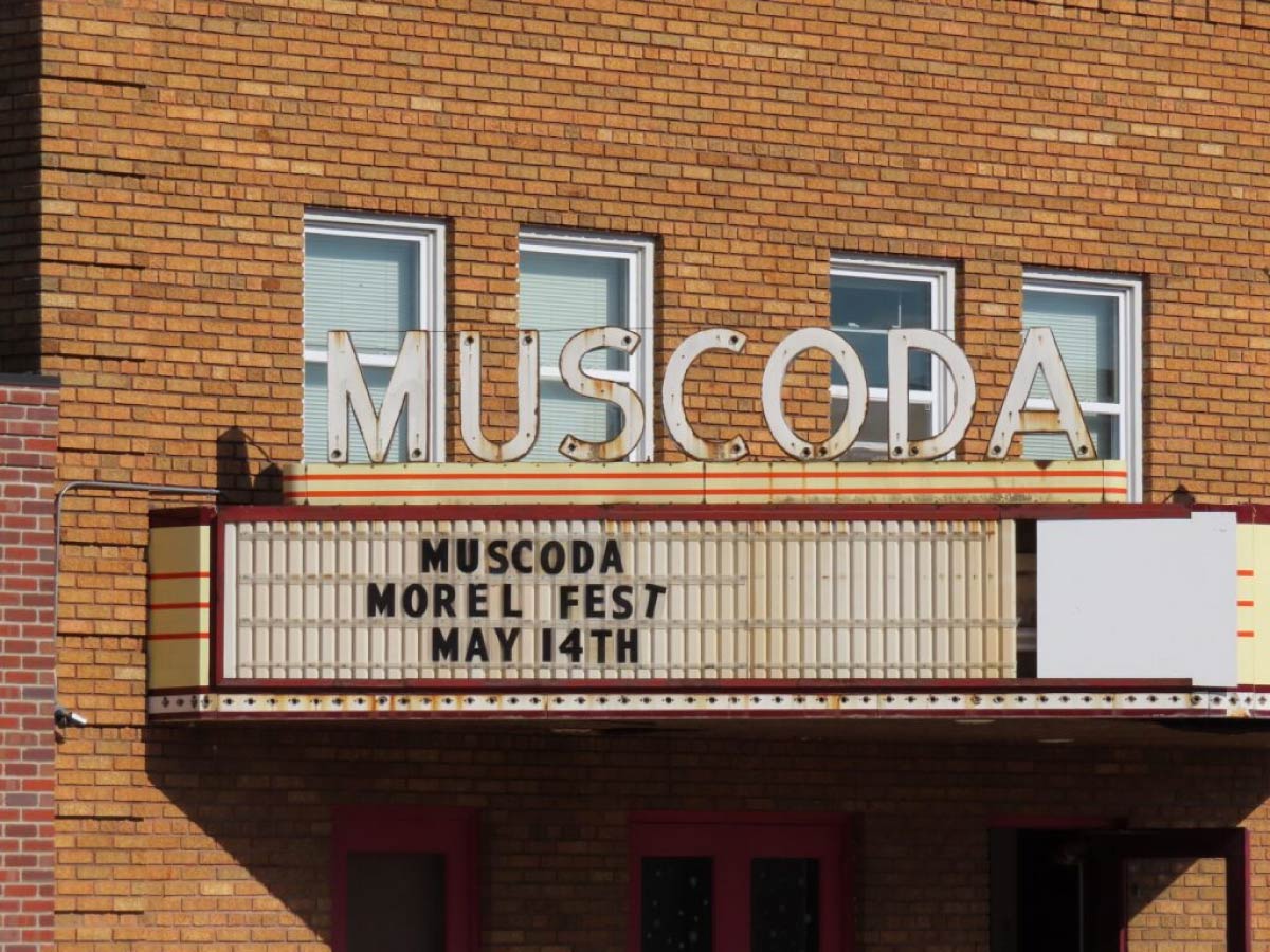 Morel Fest Muscoda WI Driftless Area Magazine